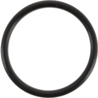 Komatsu O-ring 0700013038