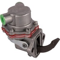 Goldoni Feeding pump 0V15180019