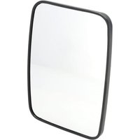 Weidemann Mirror head 1000242902
