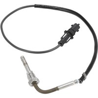Weidemann Sensor 1000310735