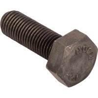 CNH Screw 16204430