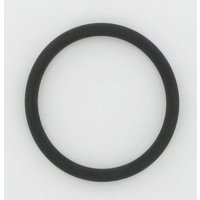 CNH O-Ring 162084060702