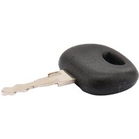 Pneutron Ignition key 20510001PN