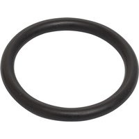 Unbranded O-ring 215300520N