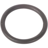 Unbranded O-ring 215310520N