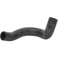 Case IH (CNH) Hose 242068A1