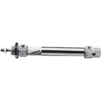 Camozzi Cylinder, 25-250, series 24 24N2A25A250