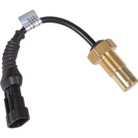 SDF Sensor 270990020