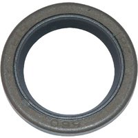 Briggs & Stratton Oil seal (4116) 299819S
