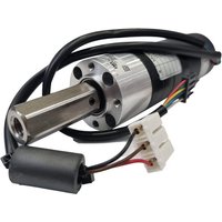 Ambrogio Motor reducer 300Z10300A