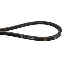Massey Ferguson (AGCO) V-belt (x2) 3617180M91