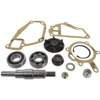 Massey Ferguson (AGCO) Water pump repair kit 3641333M91
