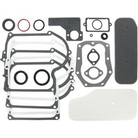 Briggs & Stratton Gasket set 391807 393411