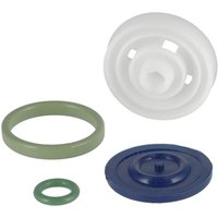 Arag KIT seletron reducer Viton 4246000500