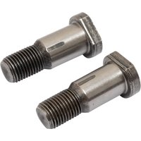 Raico Screw 44012300N