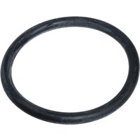 AL-KO O-Ring 3x44 Twin 14000 Nippel 467725