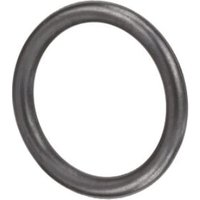 FPT Industrial O-ring 4890926FPT