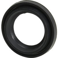Raico Gasket 4984223N