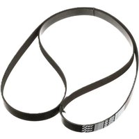 FPT Industrial V-belt 504380539FPT
