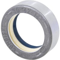 CNH Seal 5135386