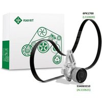 LuK FEAD kit 529400010