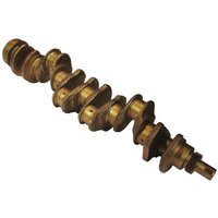 FPT Industrial Crankshaft 5801723073FPT