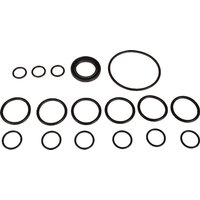Bertolini pump spare parts set 629803973