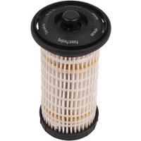 Landini Filter 6516155M1