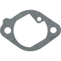 Briggs & Stratton Gasket Intake 699800