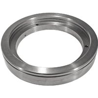 Fendt (AGCO) Brake Piston 716100320020