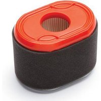 Briggs & Stratton Air filter 796970
