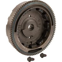 Briggs & Stratton Flywheel 798882