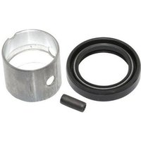 Briggs & Stratton Bearing bush 807687