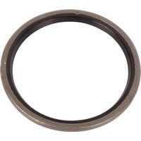 CNH Ring 87061147
