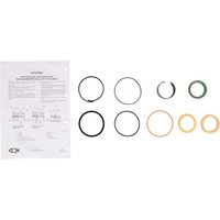 CNH Seal kit 87432412