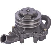 CNH Water pump 87800118