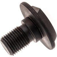 Lisam Central Blade Bolt A1207