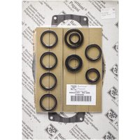 Battioni Pagani Repair kit MEC5000 with standard vanes AM7KIT