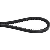 Optibelt V-belt AVX 10x1225 AVX101225