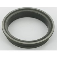Battioni Pagani Tung carbd mechanical seal BRE38W
