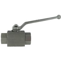 PH Hydraulik Ball valve 1/8" BSP SS BVRB02SS
