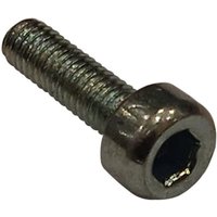 Ambrogio Screw C00032