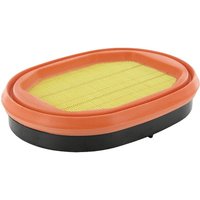 MANN-FILTER Air filter Mand H CF2550