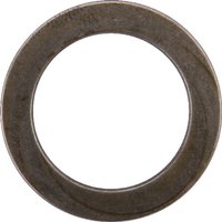 Carraro Washer CI145491