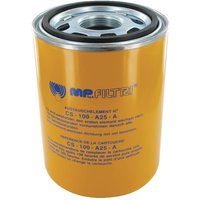 MP Filtri Filter element 25 µm CS100A25