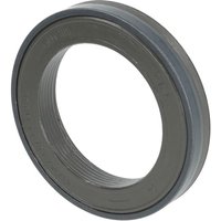 SKF Cassette seal CS6595155MUD