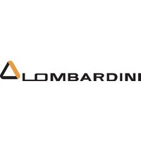 Lombardini O-ring ED0012003280S