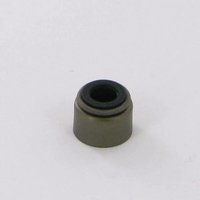 Etesia Collar ET17915