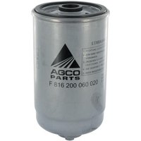 Fendt (AGCO) Fuel filter F816200060020