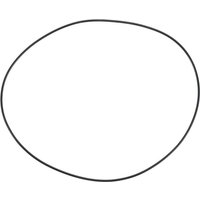AS-Motor O-ring G00006064